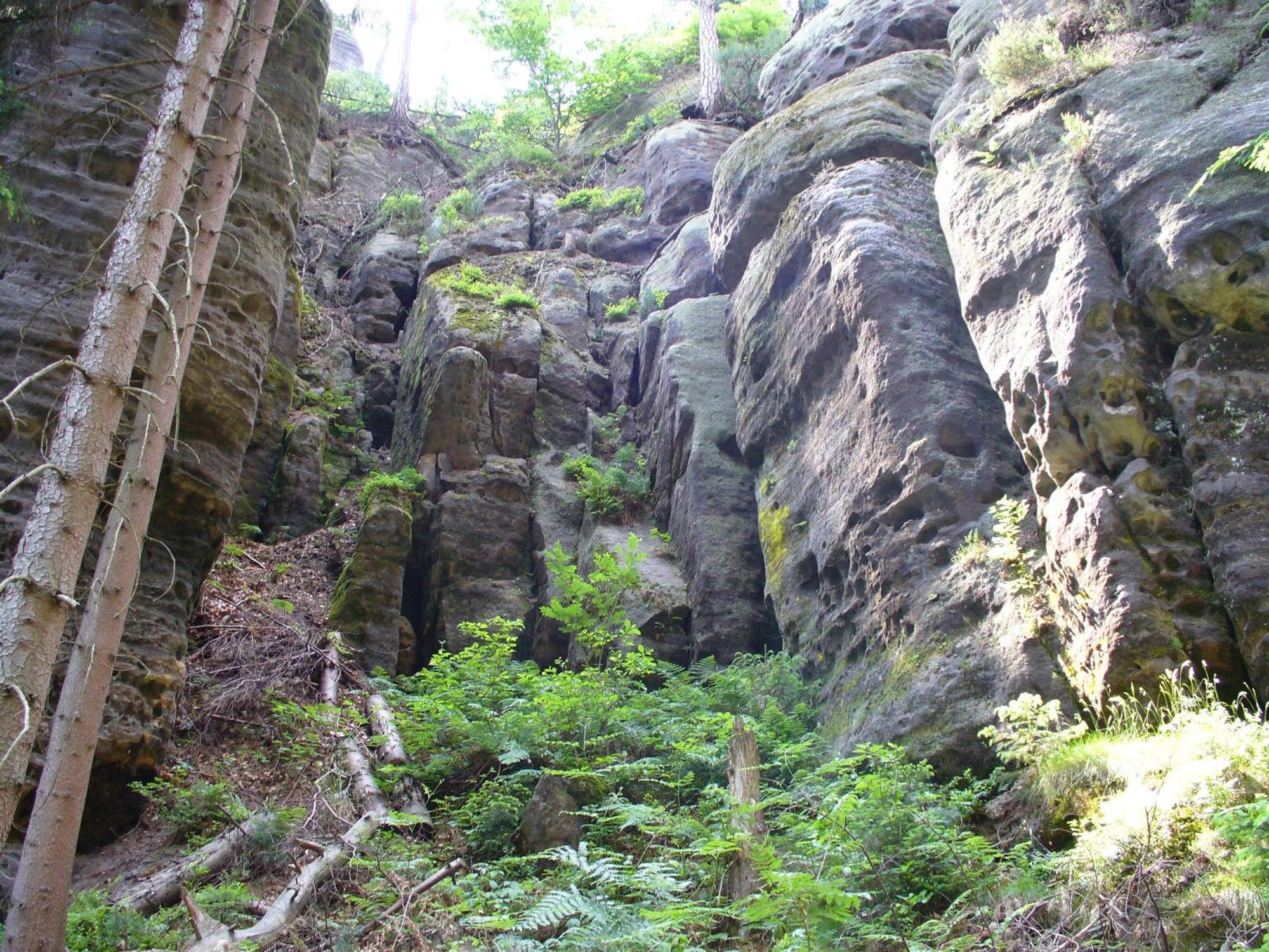 Penzion Braun Rybniste Extérieur photo